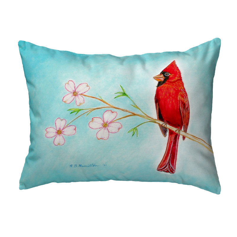 Coussin extérieur Dick's Cardinal