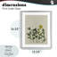 «Hidden Gems Botanicals», reproduction sous verre encadrée, design par Grace Popp-1224766032-1224766036