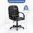 Leola Task Chair