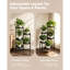 Plant Stand