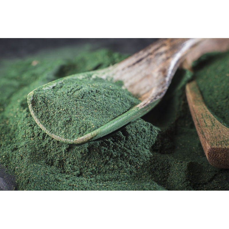 Spirulina Powder - Wrapped Canvas Print, 61cm H x 91cm W x 3.8cm D