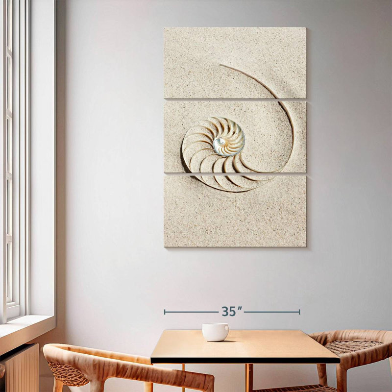 Brampt Nautilus Shell In Sand, 65" H x 42" W