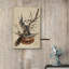 Citrouille, fête, fête, Halloween, Moody foncé, illustrations, œuvre d'art moderne, décor-101165697-101165696