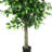 55'' Faux Bushficus Tree in Cement Pot