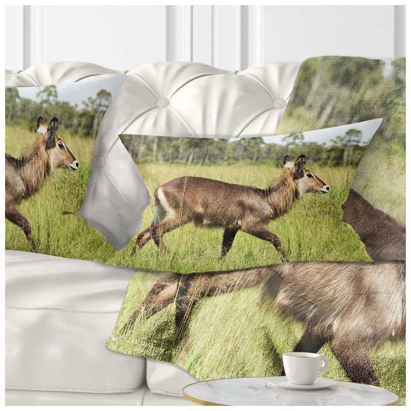Coussin lombaire en herbe antilope waterbuck africain