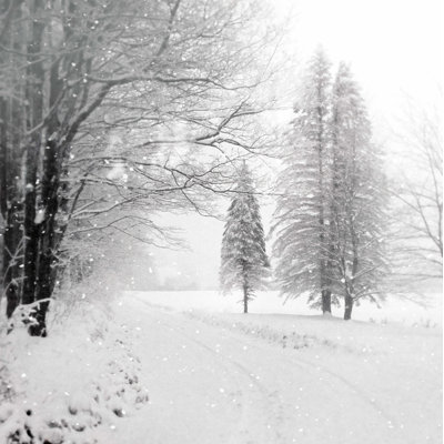 " Let It Snow II BW No Words " by Sue Schlabach