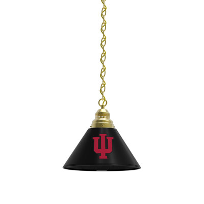 1 - Light Single Pendant