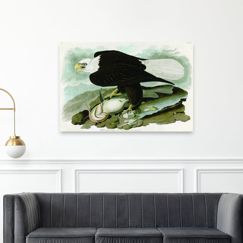 Aigle à tête blanche, abstrait, contemporain, oiseau, poisson, paysage, impression d'art mural, 40" H x 60" W