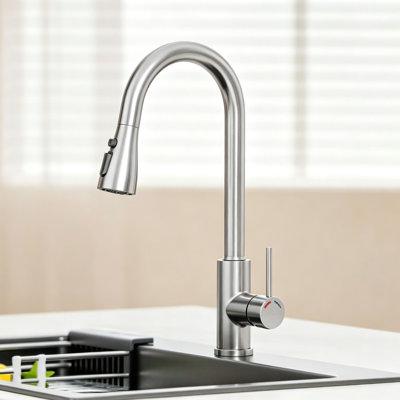 Brayden Studio Kitchen Faucet