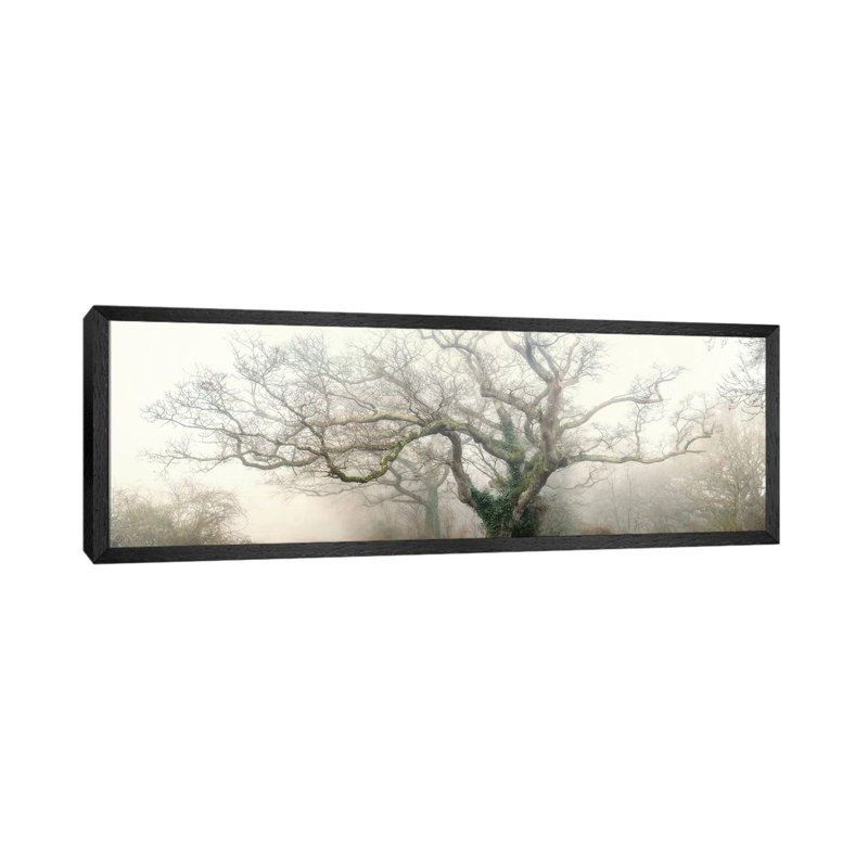 Octopus Ghost Oak by Philippe Manguin - Panoramic Print on Canvas, Black Framed, 121.92 cm H x 40.64 cm W