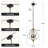 4-Light Gold & Black Geometric Cage Pendant Light, Adjustable Height
