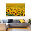 «Endless Sunflower Field», reproduction sur toile-218508431