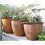 Norman Planter-14486367