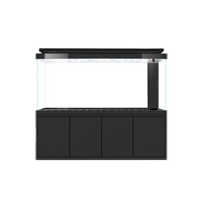Simple Modern Rectangular Eco Aquarium Tank