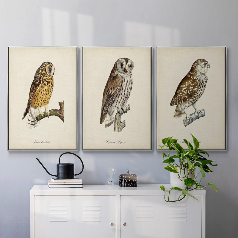 «French Owls I», ensemble de 3 toiles encadrées, H 27 po x l 54 po, Encadrement argenté