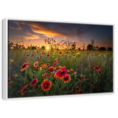 Aube au champ de fleurs