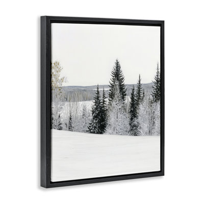 Cadre flottant paysage d'hiver enneigé, design par Arlington Prints