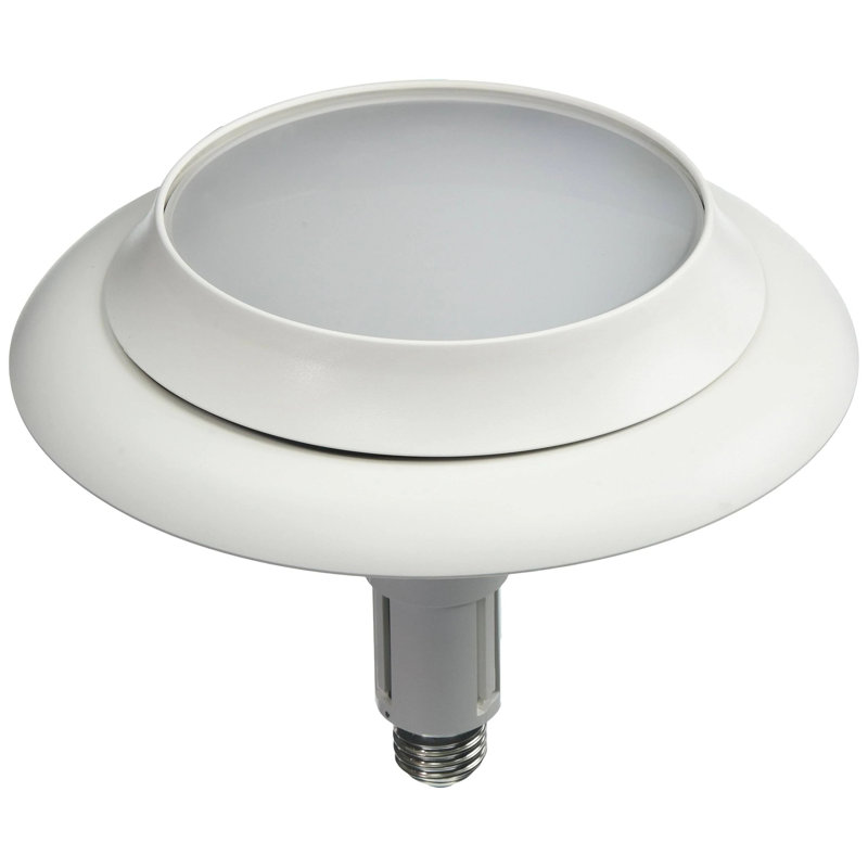 10 W (équivalent à 75 W), DEL, ampoule à intensité variable, culot E26 / moyen (standard)