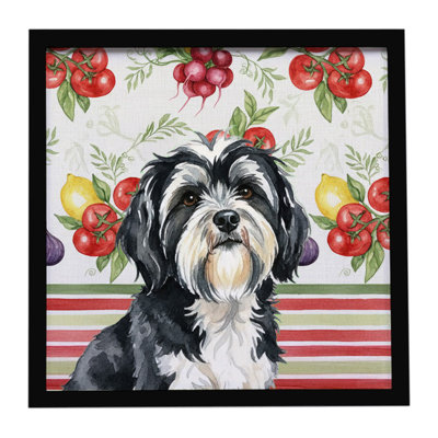 Black and White Tibetan Terrier Vegetables Framed Metal Print