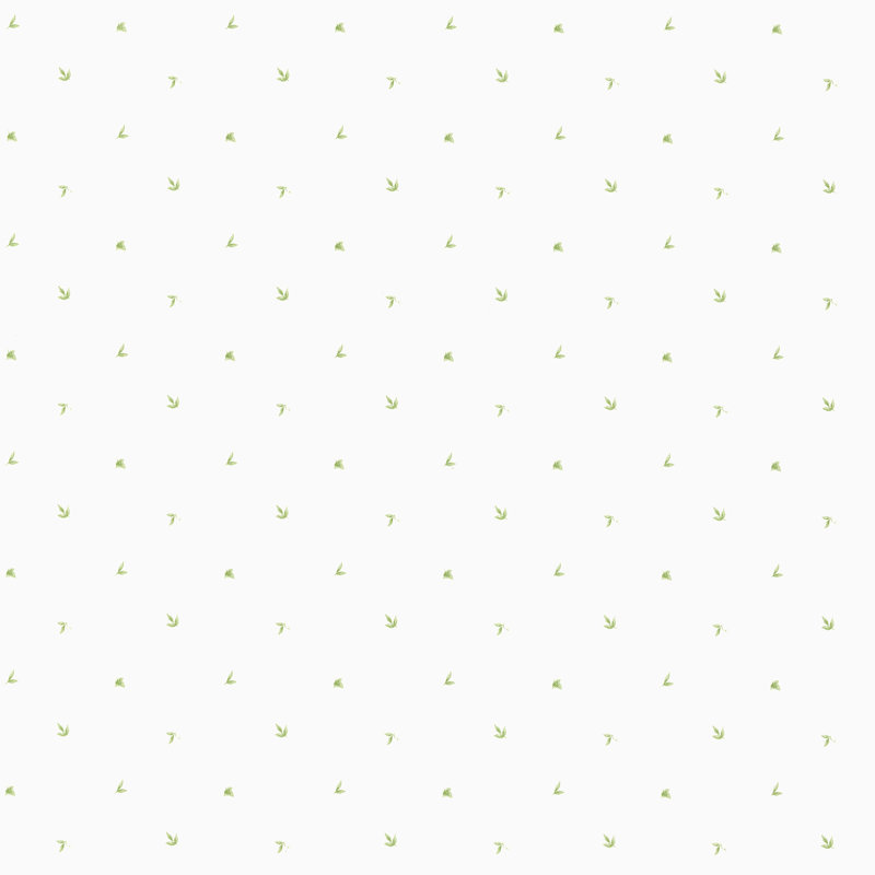 Hazzard 10m x 52.8cm Matte Paste the Wall Wallpaper Roll, White/Green