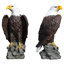 Grande statue de jardin aigle à tête blanche