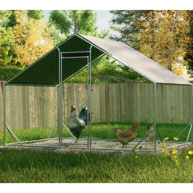 Cage à poules à l'extérieur pour poulailler et poulailler en cage, H 79 po x l 120 po x P 79,2 po