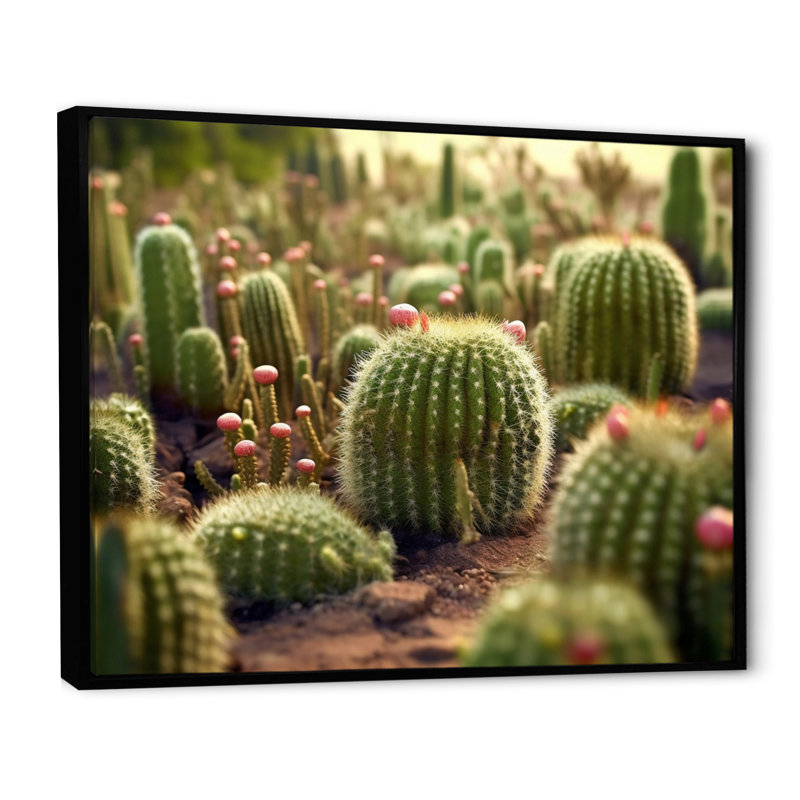 Cactus Perfection Sunrise I sur impression sur toile, H 16 po x l 32 po, Cadre photo blanc