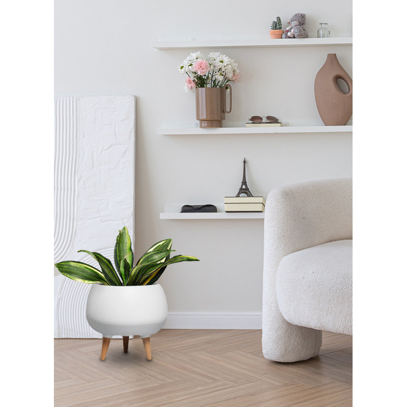 Ceramic Pot Planter
