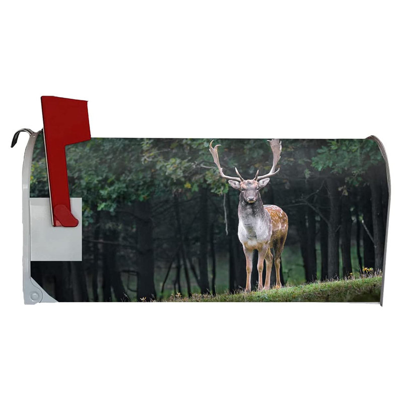 Vinyl Mailbox Cover, 5'' H x 20'' W