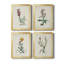 Traditional Botanical I - Ensemble de 4 peintures sur toile encadrées-1478529741-1478529740