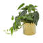 11.5'' Faux Pothos Plant in Pot