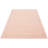 Zorel Oriental Indoor Rug