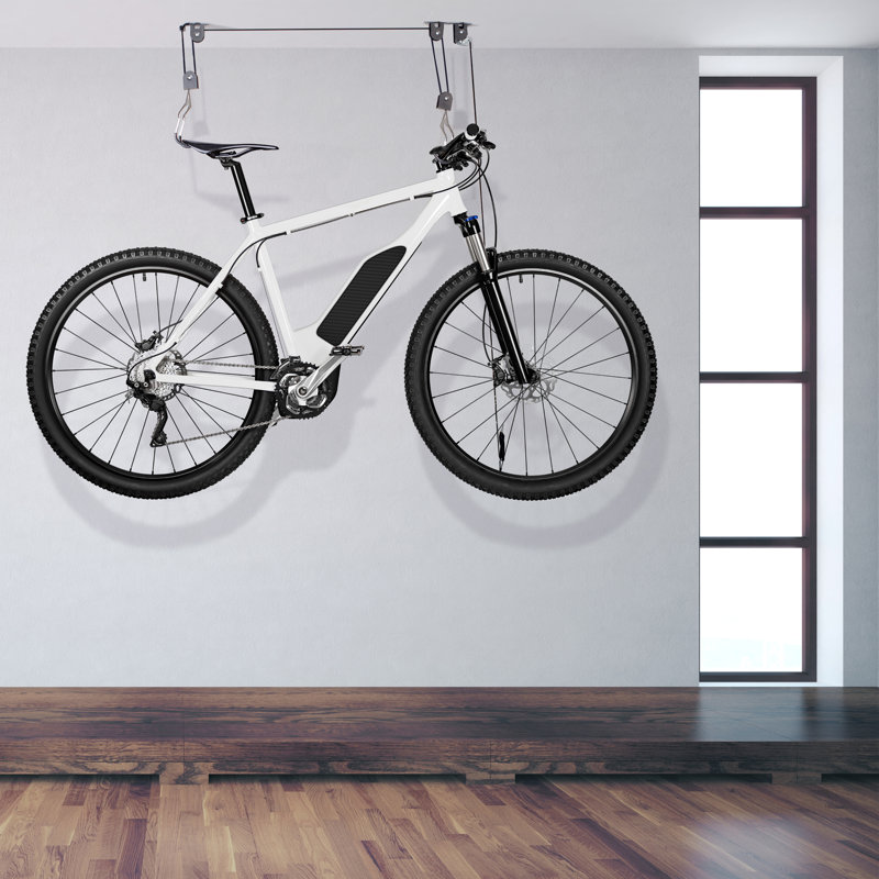delta Alloy Ceiling Mounted Bike Hoist