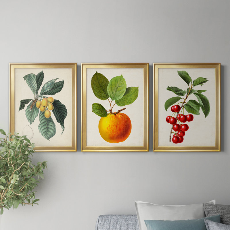 "Antique Foliage & Fruit VI", ensemble de 3 impressions sur toile encadrées, H 26,5 po x l 109,5 po x P 1,5 po, Doré