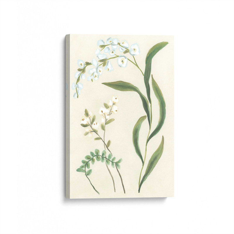 «Snowdrop Stems II» par June Erica Vess, reproduction d'art sur toile, H 40 po x l 30 po, Ne s’applique pas