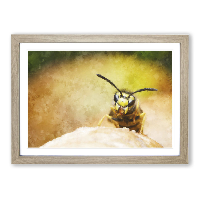Wasp Painting - Picture Frame Graphic Art, 27cm H x 36cm W x 2cm D, Oak