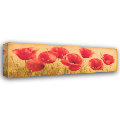 Poppies Grace I