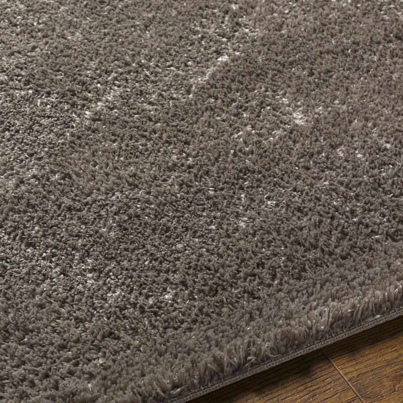 Solid Shag Area Rug - Basics by Wayfair™, Rectangle 5'3" x 7', Gray