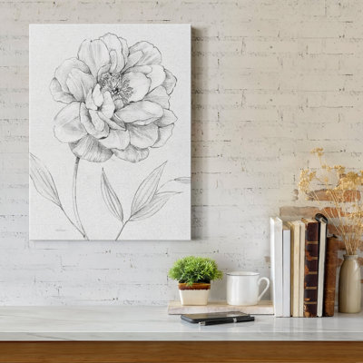 " Peony Sketch "