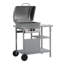 Aarish Sol 27 Outdoor 2 - Burner Countertop Liquid Propane 9500 BTU BTU Gas Grill-121222737