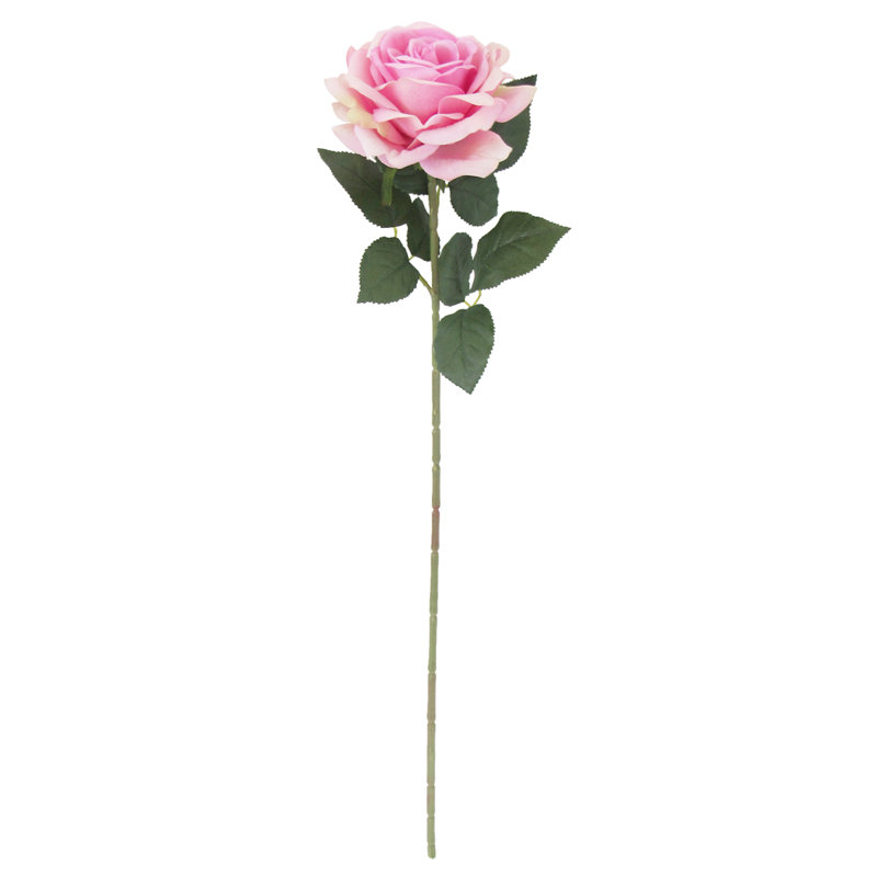Grandes tiges roses en velours, Rosé