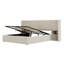 Captola Upholstered Ottoman Storage Bed-795482903-795482901