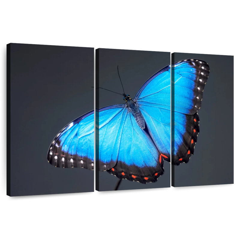 Brampt Blue Morpho Butterfly, 28" H x 45" W