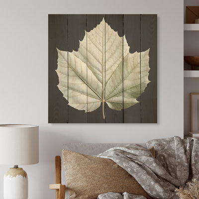 Black And White Leave On Glass - Leaves Wood Wall Art On Natural Pine Wood