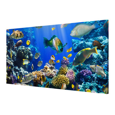 Magnettafel Underwater Reef