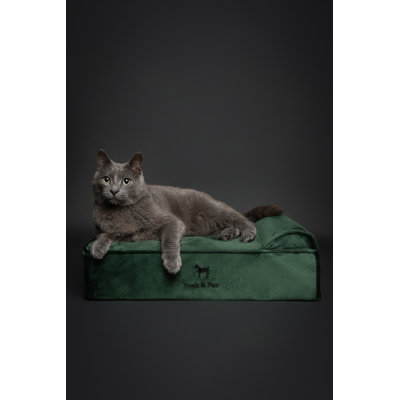 Noah & Paw XL Dog Bed, Orthopedic Large Dog Beds, Eggshell Memory Foam Infused with Cooling Gel, Waterproof, Machine Washable, Includes Inner Cover (Velvet Collection)