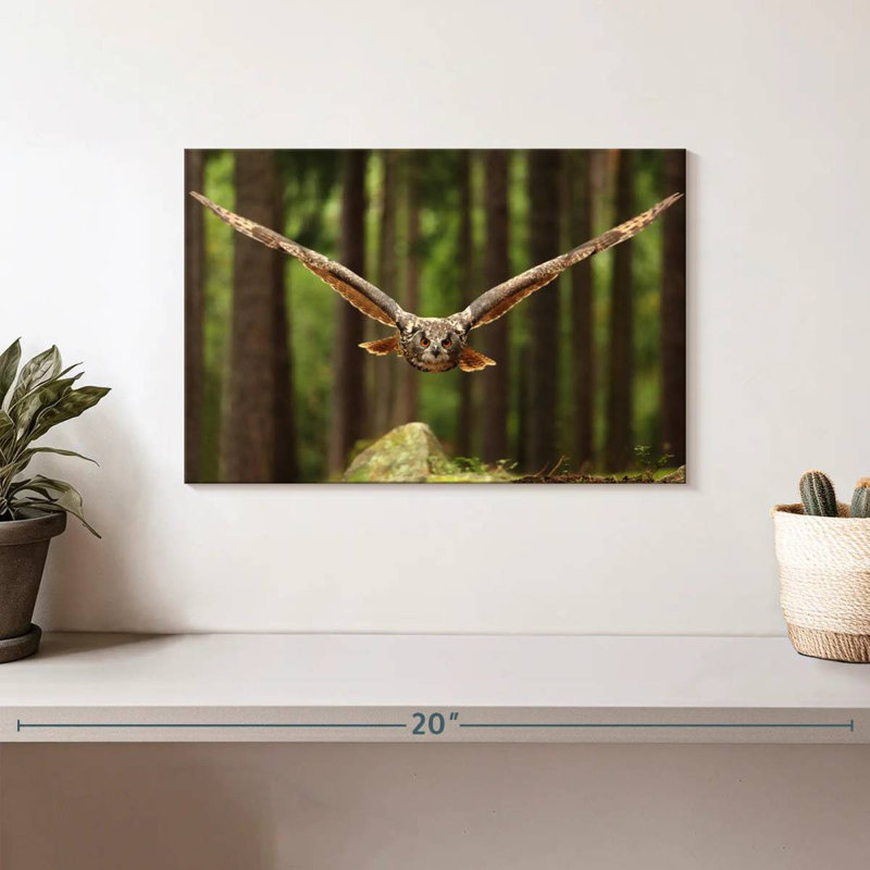 Crowle Eurasian Owl, 8" H x 12" W