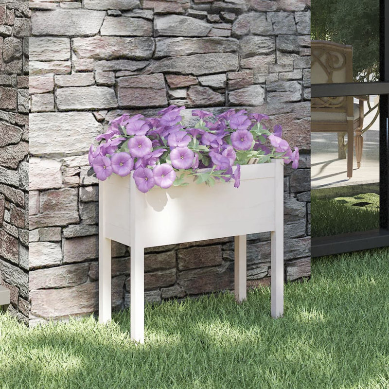 Alasteir Wood Planter Box, 70cm H x 70cm W x 70cm D, White