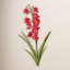 Tige d'orchidée Cymbidium