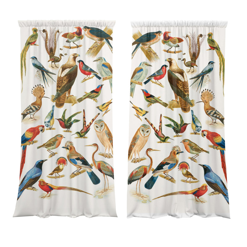 Desha Velvet Blackout Curtain Panel Pair, 148cm x 200cm